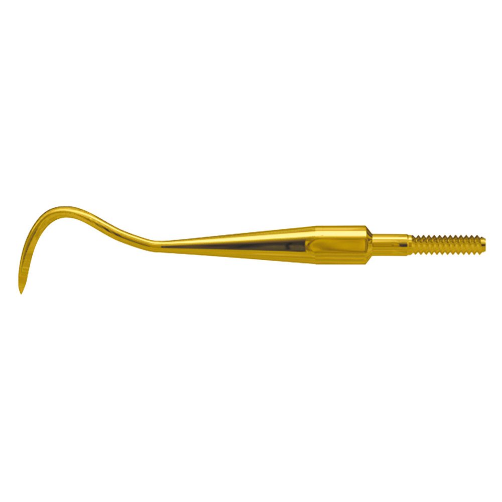 Scaler Eagle Claw A XP Quick Tip  AE St