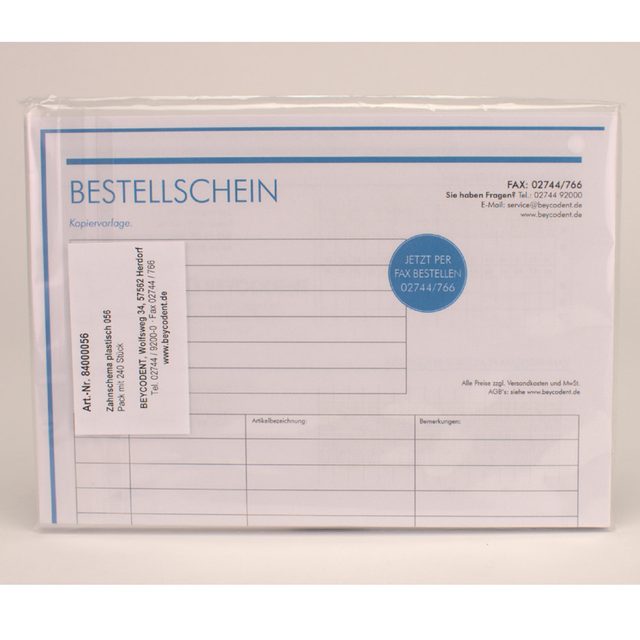Zahnschema plastisch 84000056 240St