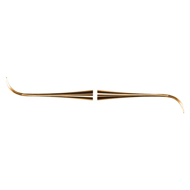 Scaler NeB 128DE XPX  AE St