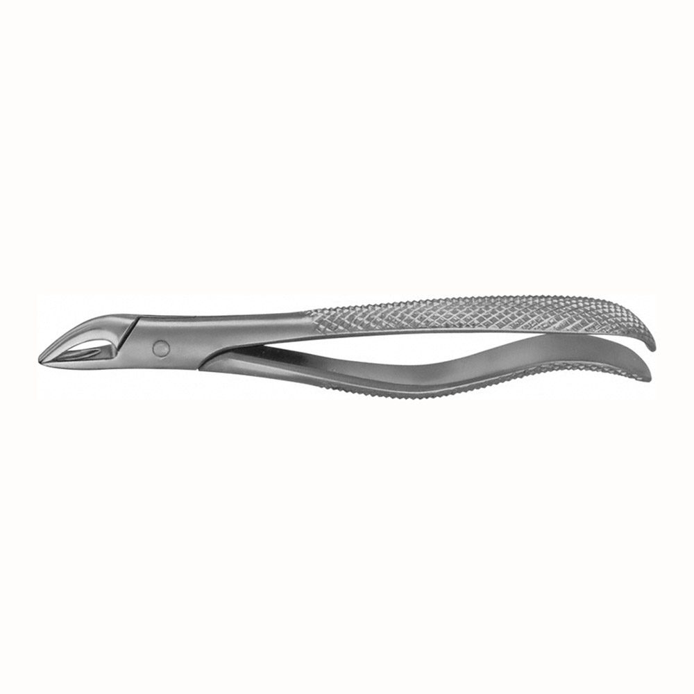 Anatomica Zahnzange Fig. 76N  St