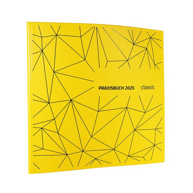 Praxisbuch Speiko Classic 2025 St