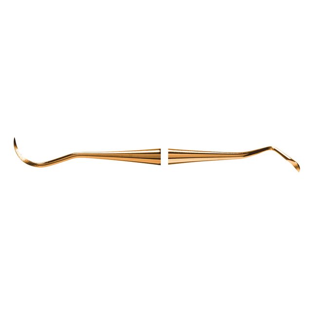 Scaler N1 XPX  AE St