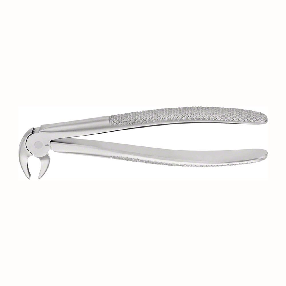 Zahnzange Anatomica Figur 13 UK Frontzahn + Prämolar, Stück