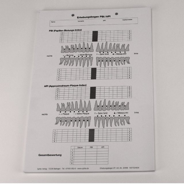 Erhebungsbogen PBI/API A4 100St