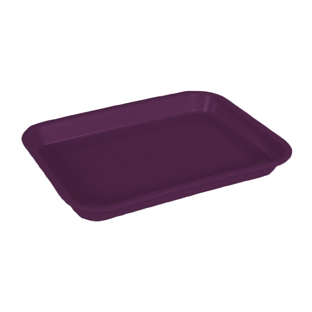 Mini-Tray o. Einteilung plaume  St
