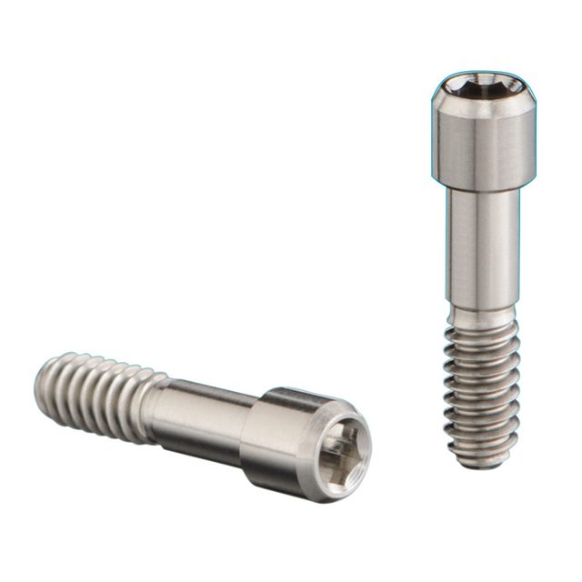 Abutment Screw AT EV 3.0, 2 Stück