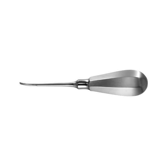 Wurzelheber sehr grazil 610-13  St