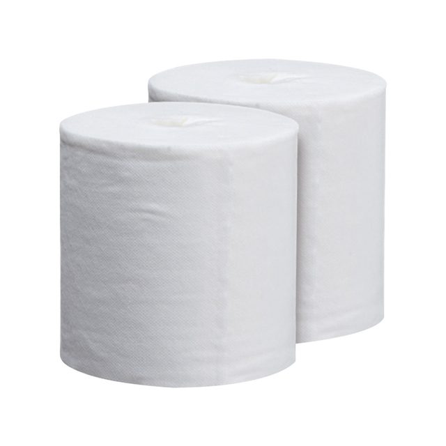 DryWipes Soft, 2 x 90 Blatt Rolle