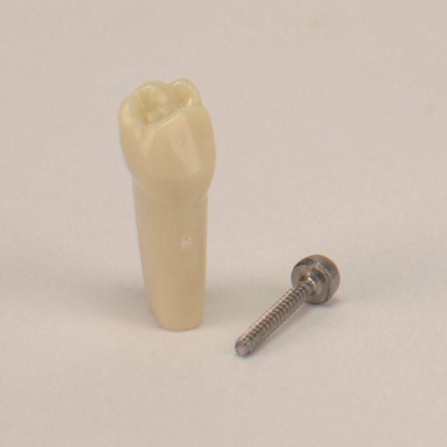 Modellzahn AK-6/2 ZE 54 OK Kind St