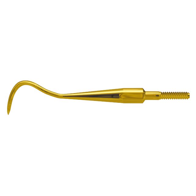 Scaler Eagle Claw A XP Quick Tip  AE St