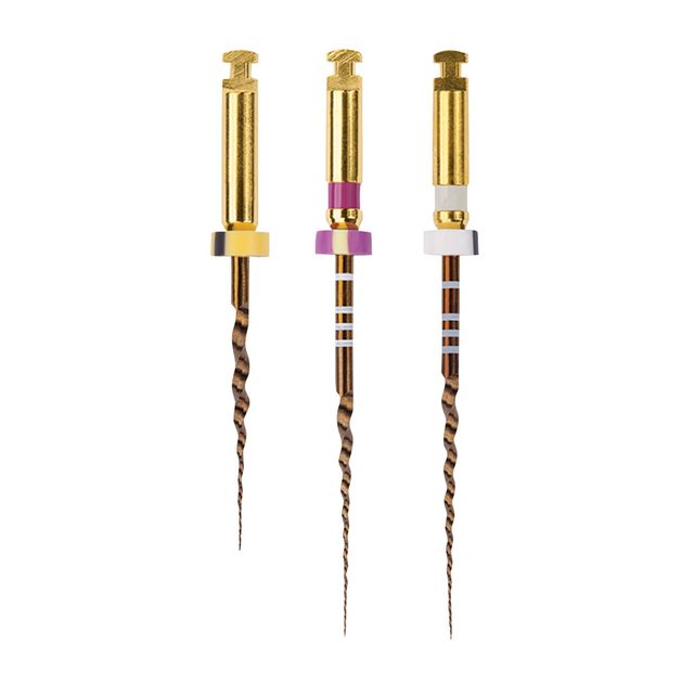 PROTAPER Gold S1 21mm   6St