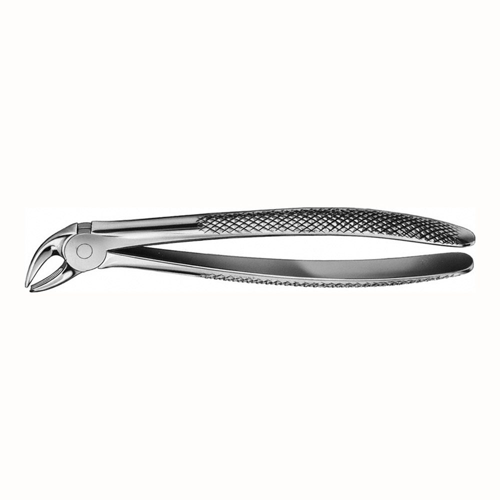 Zahnzange Anatomica Figur 4 UK Frontzahn, Stück