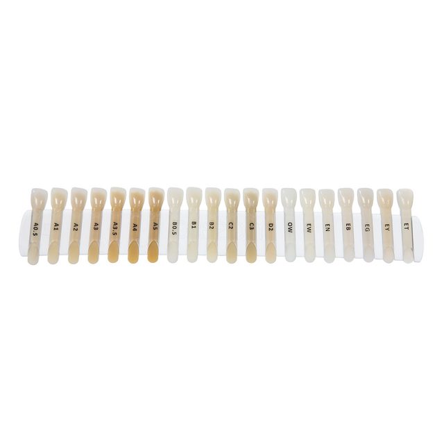 Mosaic Complete Shade Guide  St