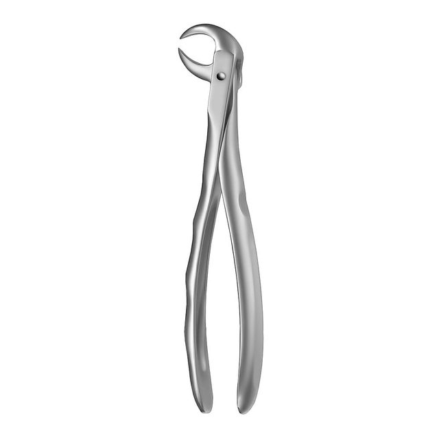Zahnzange L.S. 86C UK Molar St