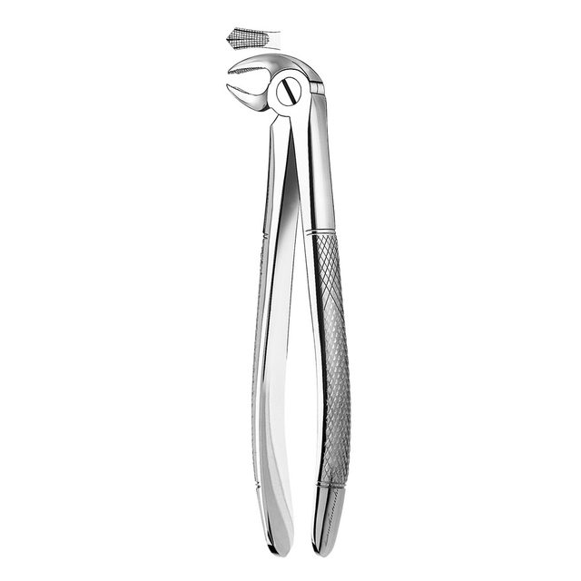 Zahnzange Figur E22 UK Molar, Stück
