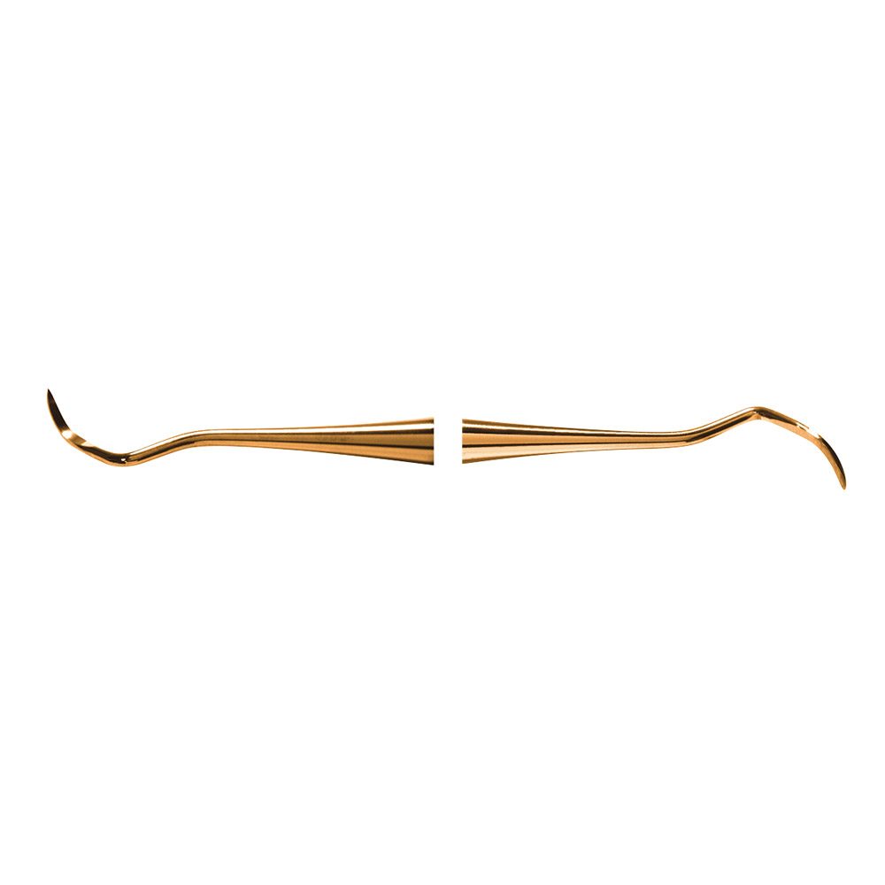 Scaler 204D XPX  AE St