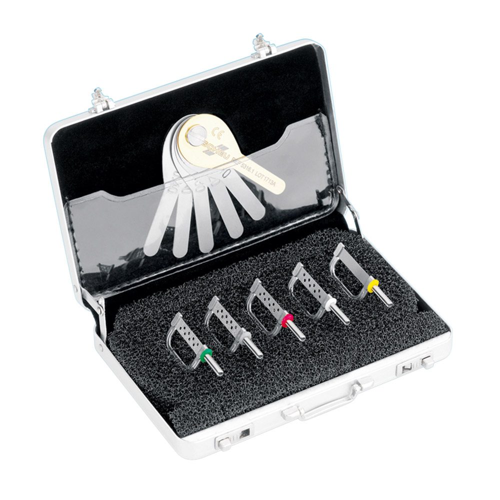 Stripping Tool ECHARRI PST Set