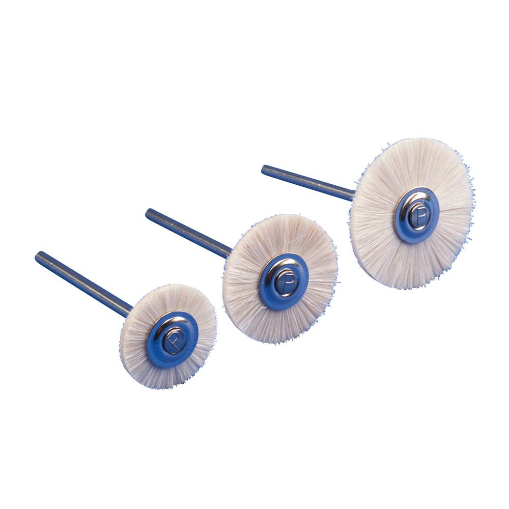 ZR Bürste Hst Ziege weiß ø21 mm, 12 Stück