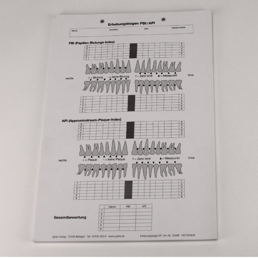 Erhebungsbogen PBI/API A4 100St