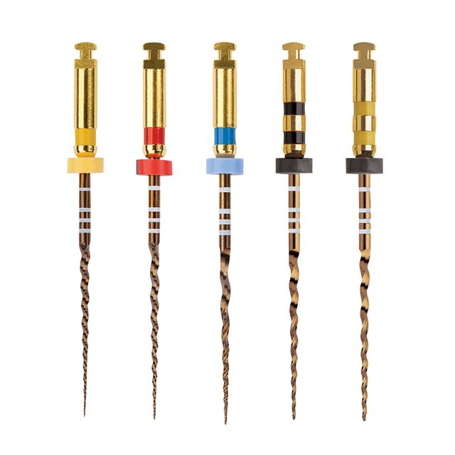 Protaper Gold F4 31 mm, 6 Stück
