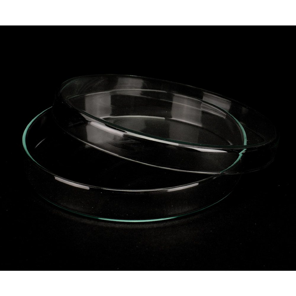 Petri Schale m.Deckel 15x2,5cm St
