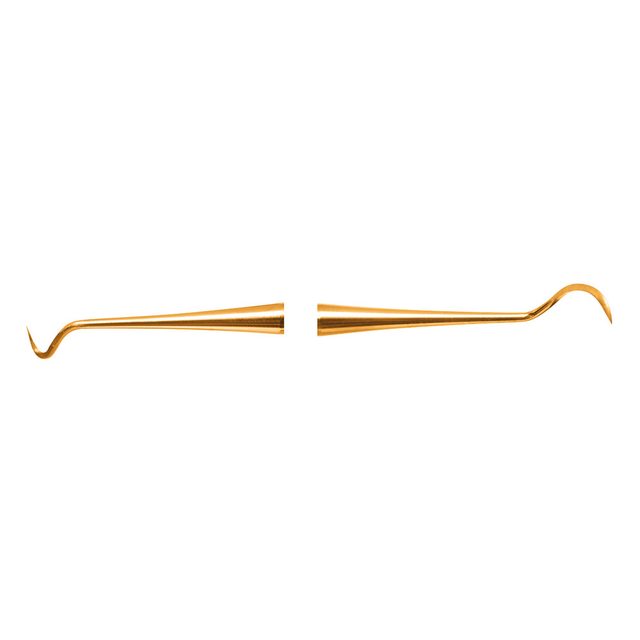 Scaler N2 XPX  AE St