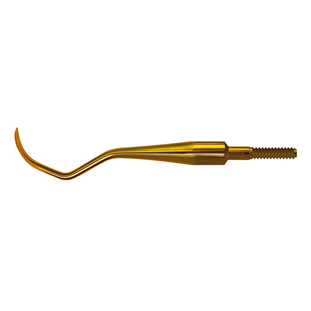 Scaler 311 SP Quick Tip  AE St