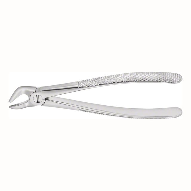 Zahnzange Anatomica Figur 31 Wurzel, Stück