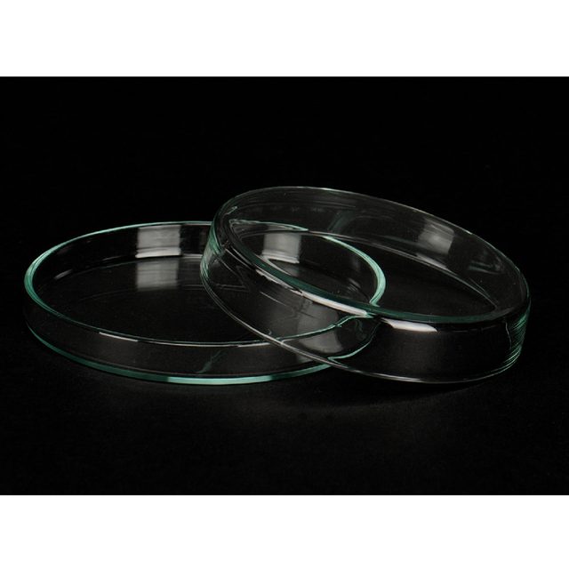 Petri Schale m.Deckel 8x1,5cm   St