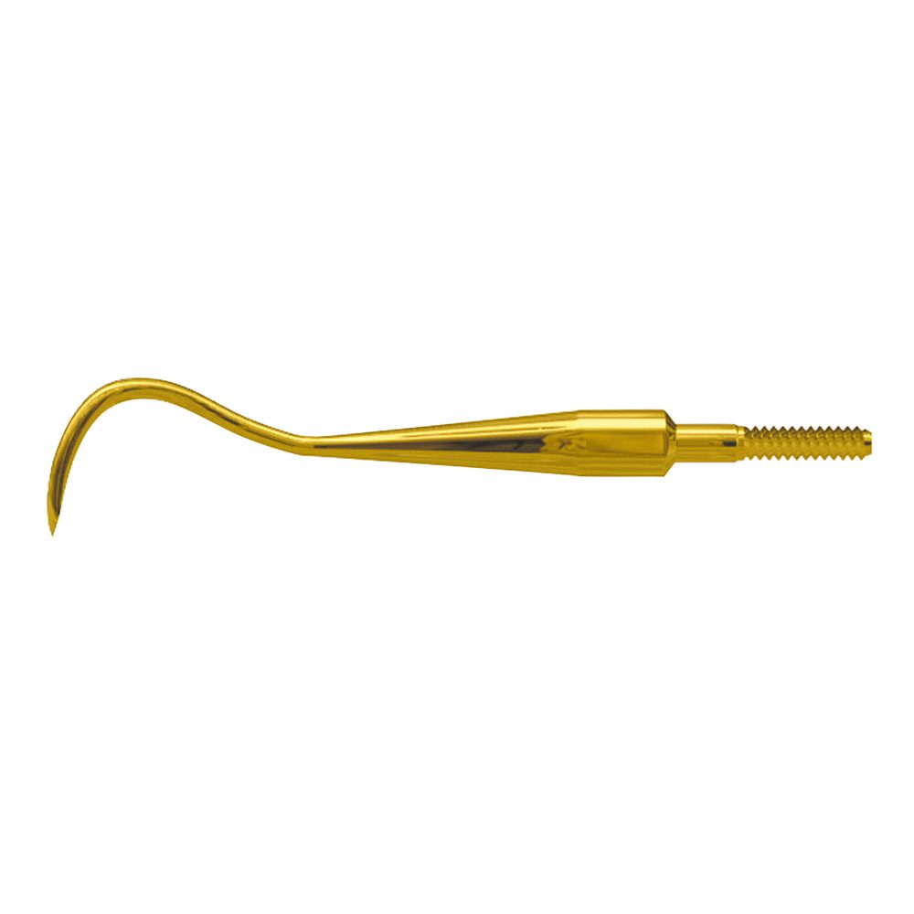 Scaler Eagle Claw B XP Quick Tip  AE St