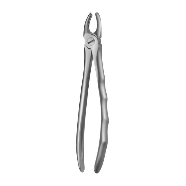Zahnzange L.S. 17 OK Molar rechts St