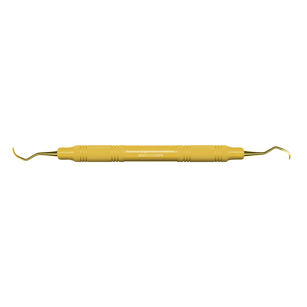 Scaler 311-312 XPX  AE St