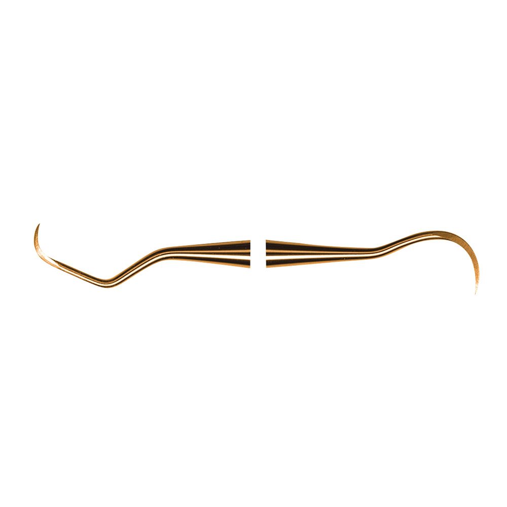 Scaler N137 XPZ SS  AE St