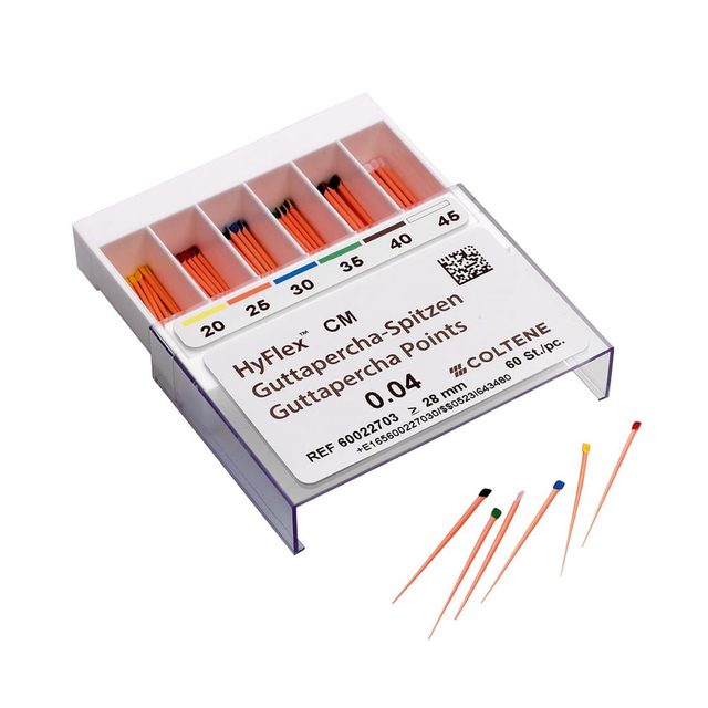 HyFlex CM GP Spitzen 20-45 /.04 so. 60St