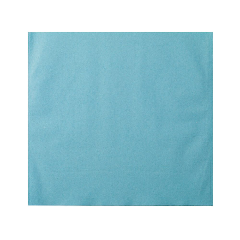 Kopfschutztaschen Monoart blau, 250 Stück