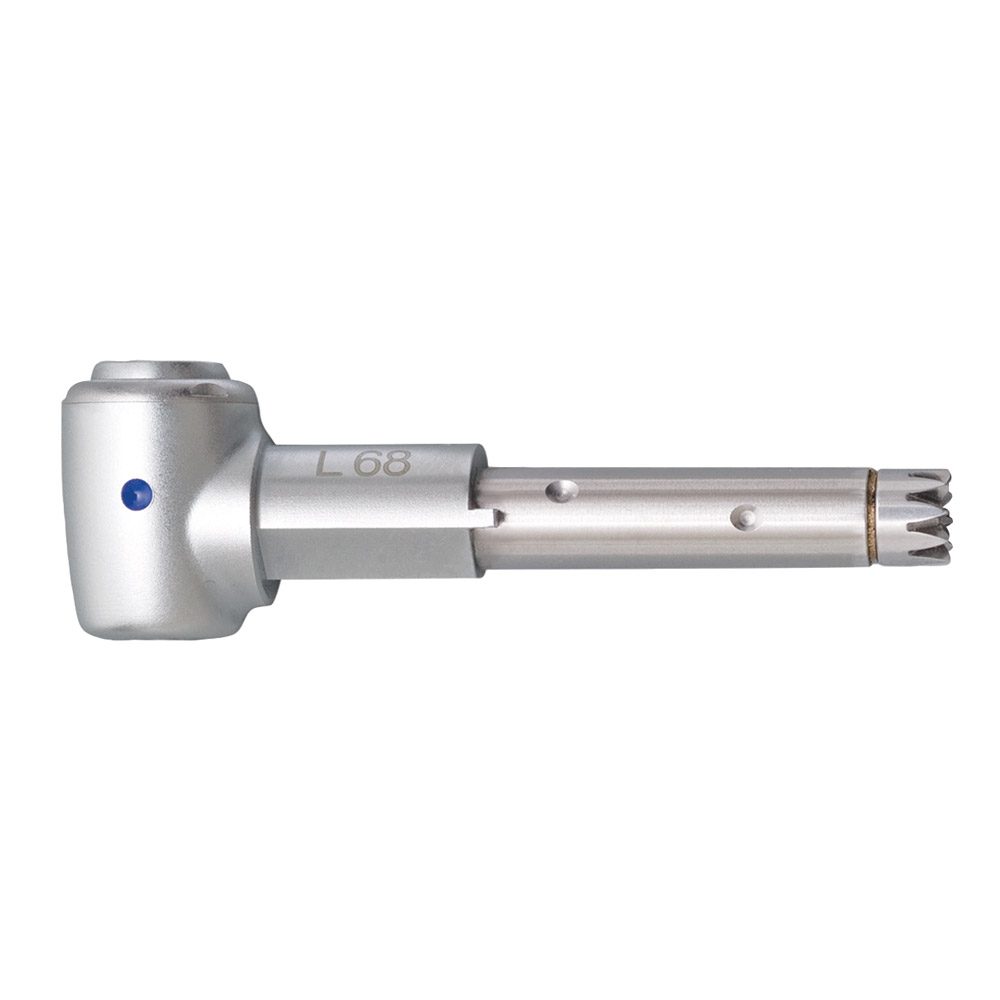 INTRA Kopf L68 1:1 Restauration St