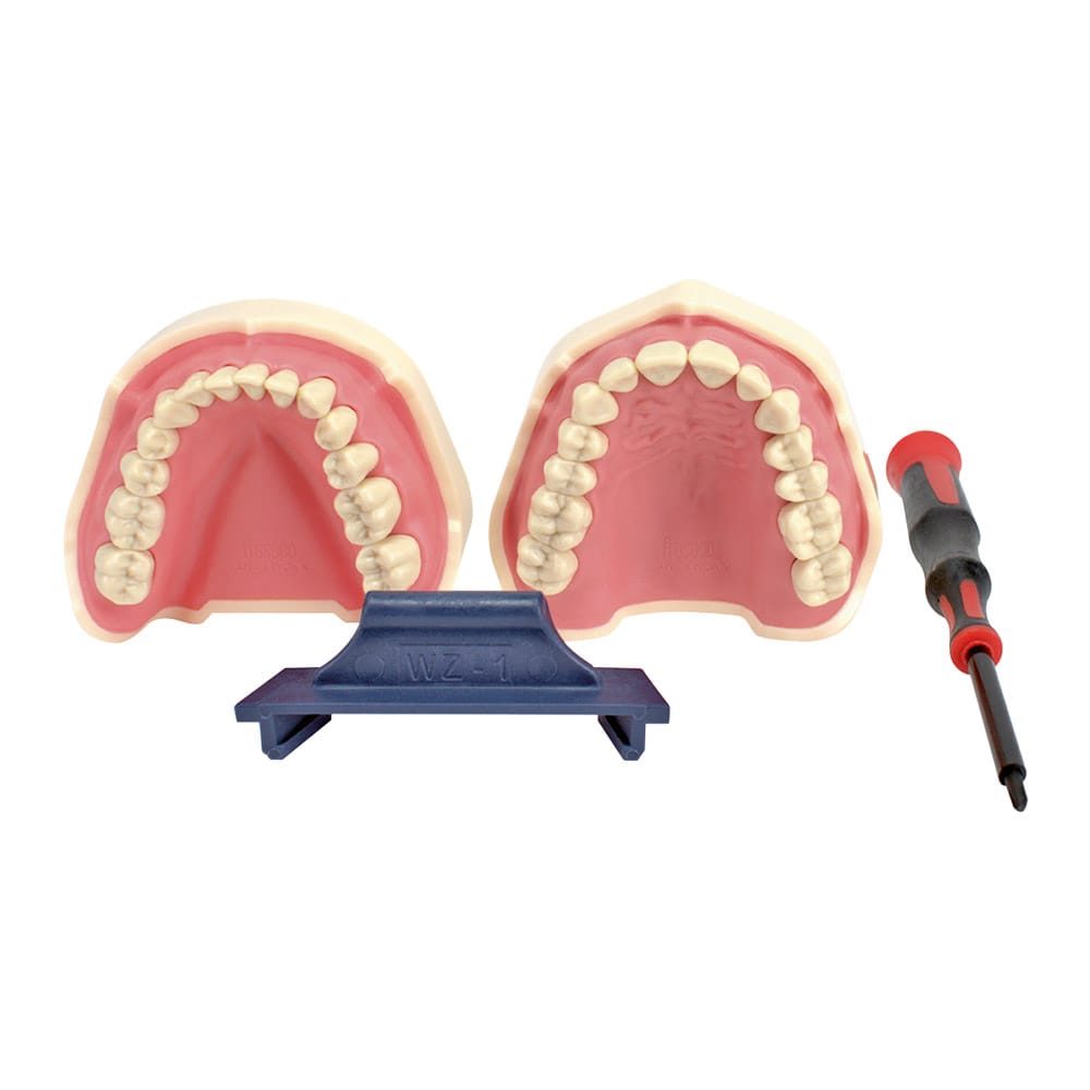 Frasaco Modell ANKA-4V OK+UK St
