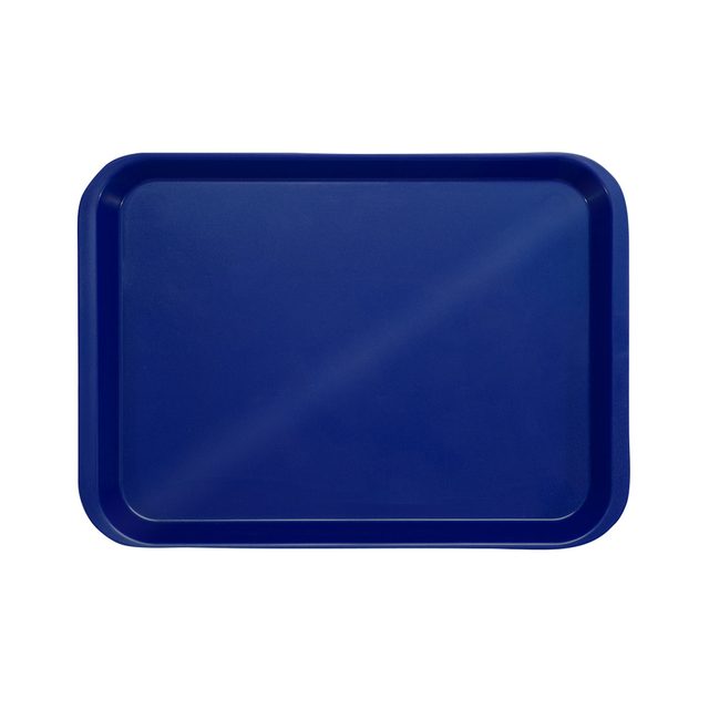 Behandlungstray o. Eint. dblau St