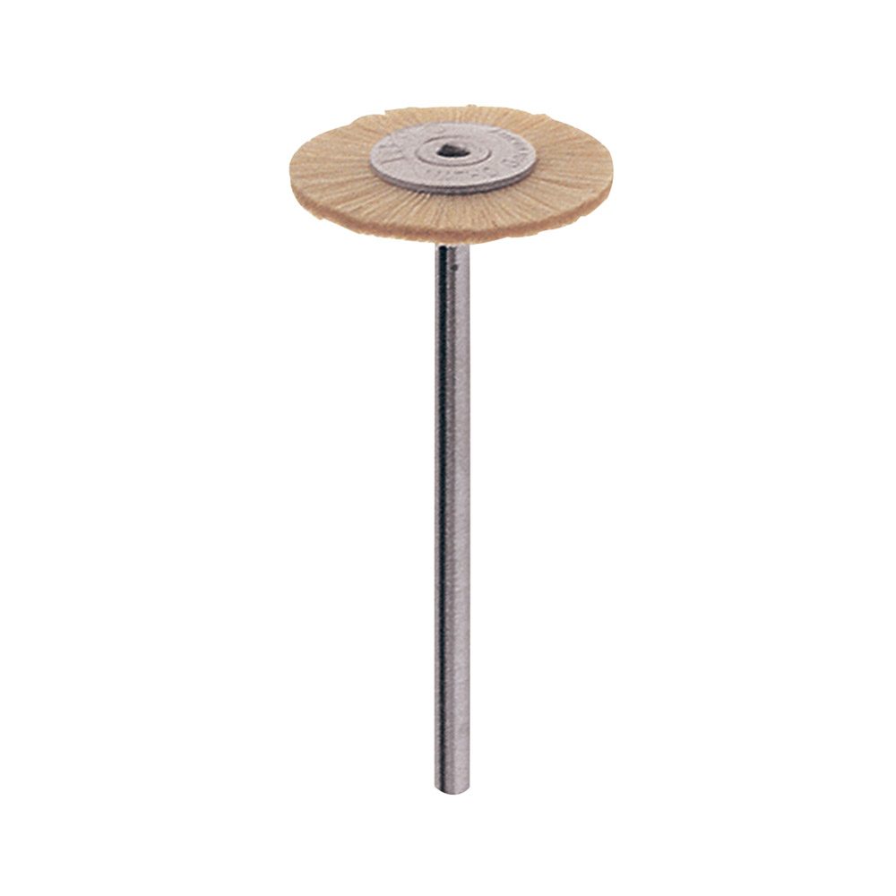 ZR Bürste Hst Rad Ziege 19 mm, 12 Stück