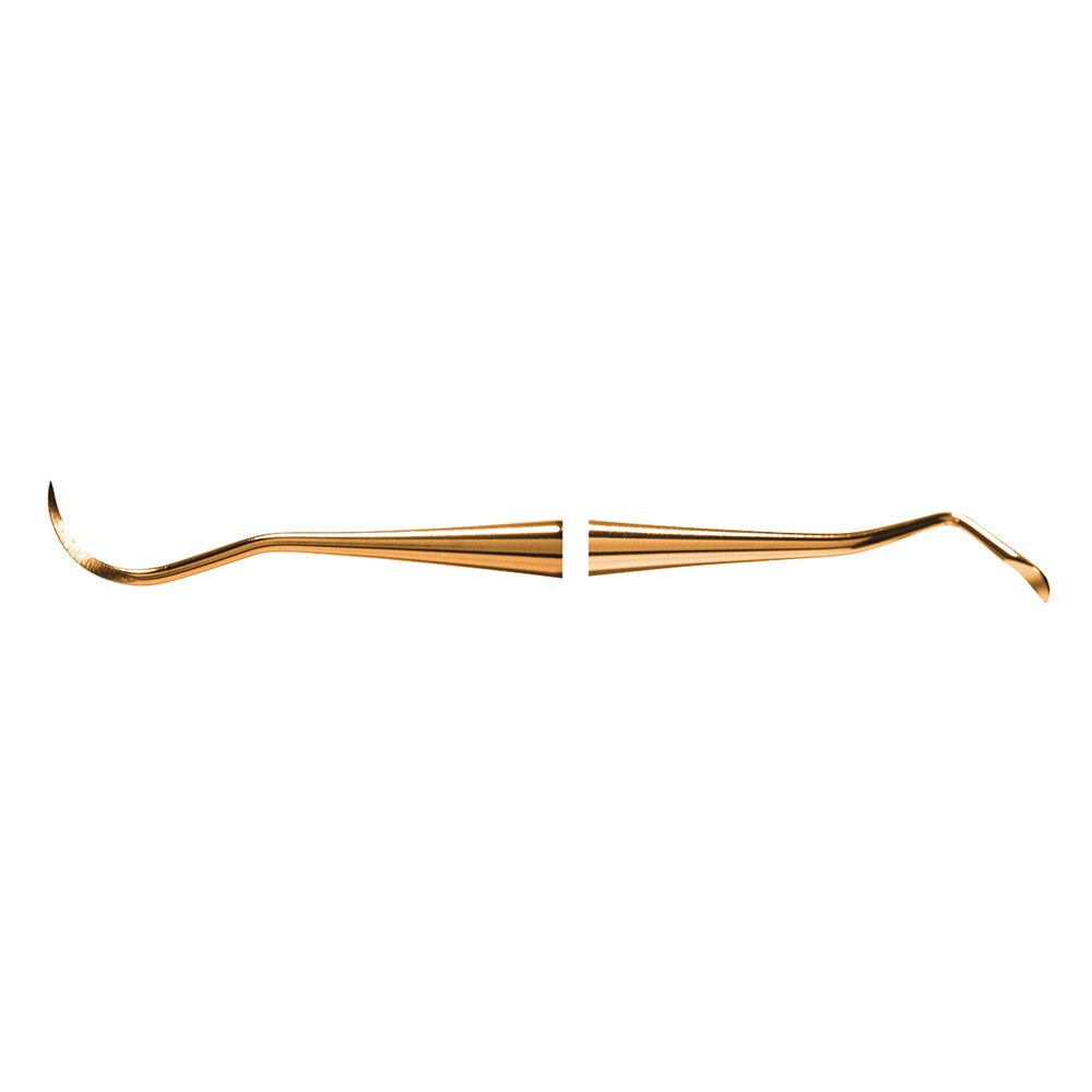 Scaler N1 XPX  AE St