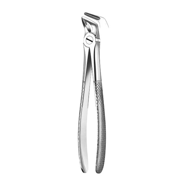 Zahnzange Figur 31 UK Wurzel, Stück