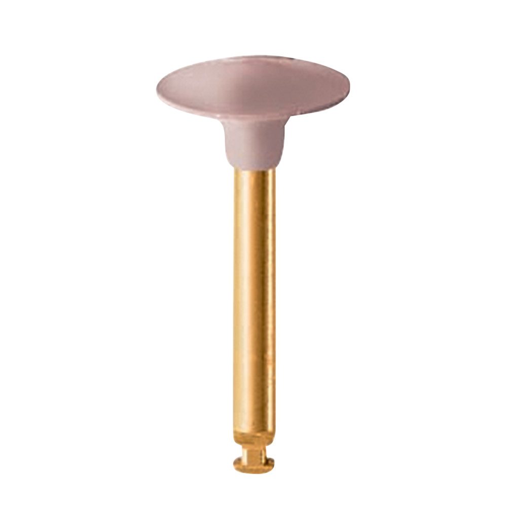EVE Diacomp Plus Wst DCP2m, Stück