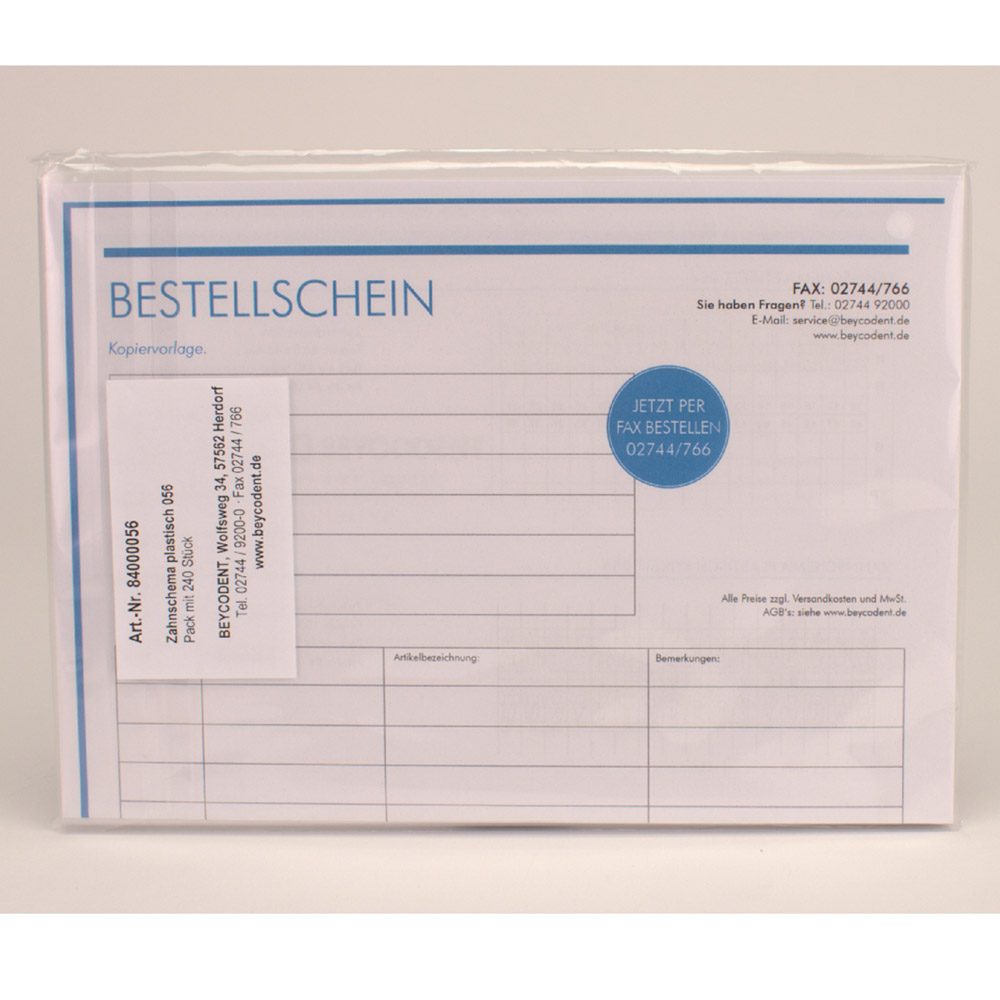 Zahnschema plastisch 84000056 240St