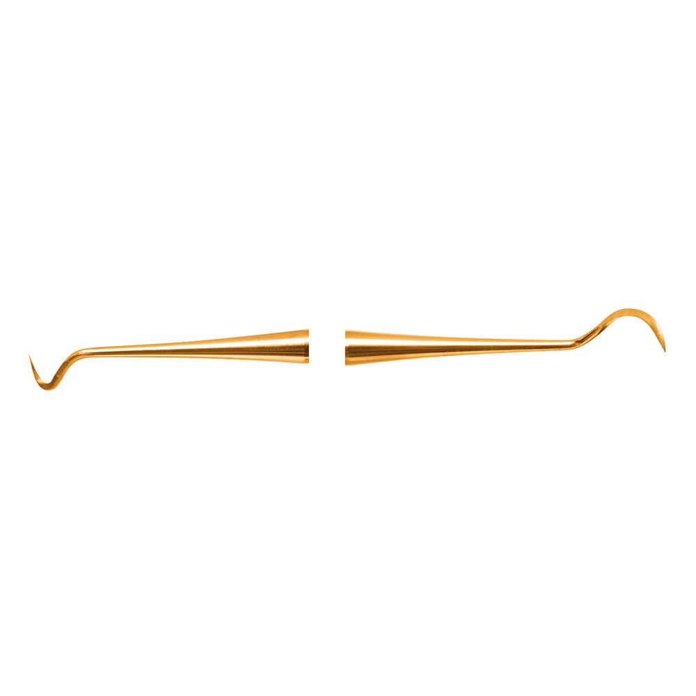 Scaler N2 XPX  AE St