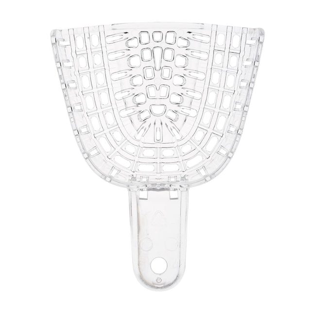 President Tray medium OK Gr.3 Dtz