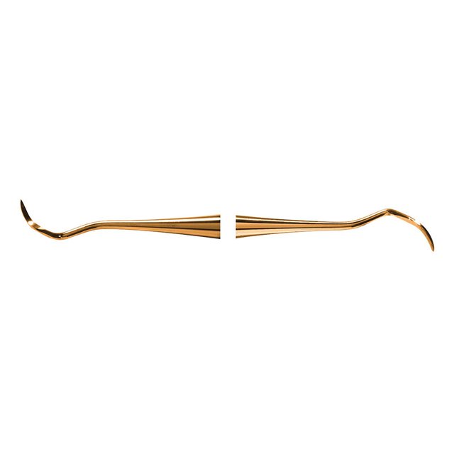 Scaler 204S XPX  AE St