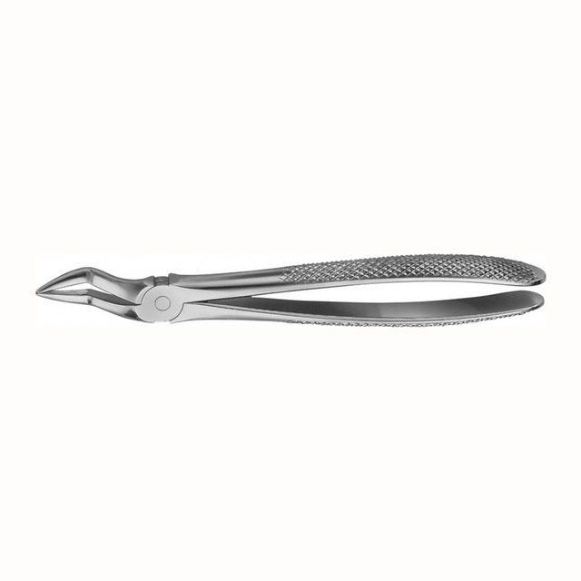 Anatomica Zahnzange 51A Ob.Wurzeln  St