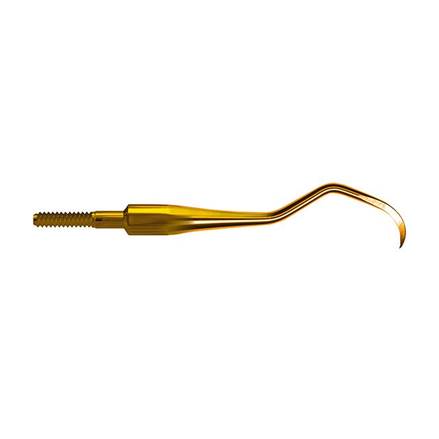 Scaler 312 SP Quick Tip  AE St