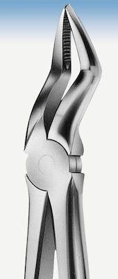 Zahnzange Anatomica Büchs Figur 51 OK Wurzel, Stück