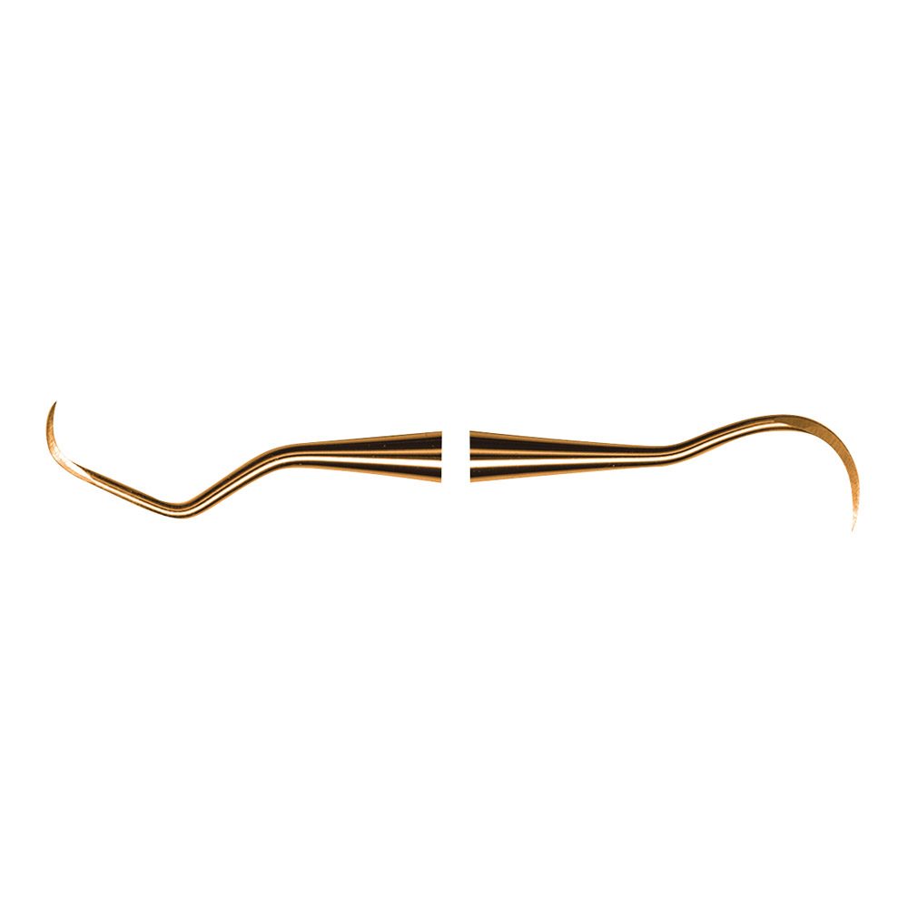 Scaler N137 XPX  AE St